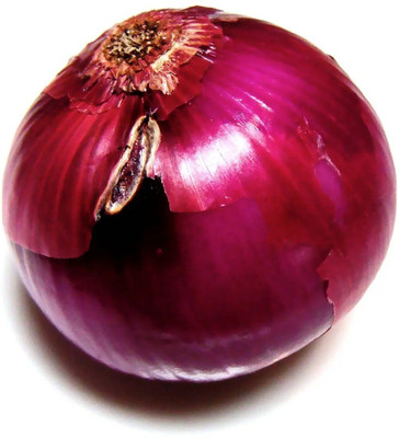FRESHO RED CREOLE ONION Seed(20 per packet)