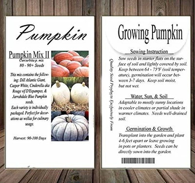 Qualtivate XLL-739 Pumpkin Mix II Seeds Seed(50 per packet)
