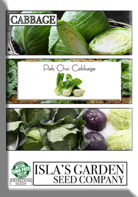 WILLVINE HAR -VI Pak Choi Cabbage Seeds for Planting [50g] Seed(15000 per packet)