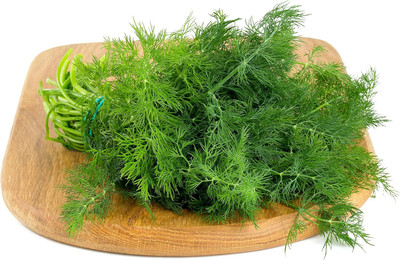 Qualtivate ATS-24 Dill Fernleaf Seeds Seed(500 per packet)
