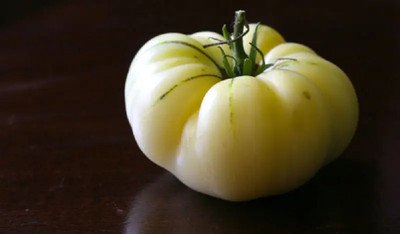 CYBEXIS Great White Tomatoes500 Seeds Seed(500 per packet)
