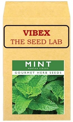 CYBEXIS Mint Mentha Hybrid Seeds700 Seeds Seed(700 per packet)