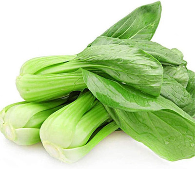 CYBEXIS Heirloom White Cabbage Seeds2000 Seeds Seed(2000 per packet)
