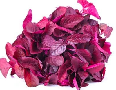 Aywal Red Spinach Seed, Amaranthus Leaf Lal Saag Seed(180 per packet)