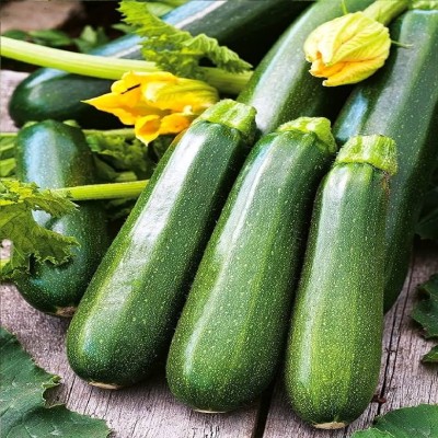 Gromax India Green Zucchini Seeds Squash Hybrid Seeds for home garden Non-GMIO Seed(15 per packet)