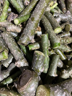 Cloud Farm Giloye/Giloy Plant/Neem Tree Guruch Fresh Stems Seed(25 per packet)
