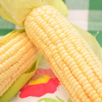Qualtivate XXX-3A Evergreen Sweet Corn Seed(400 per packet)