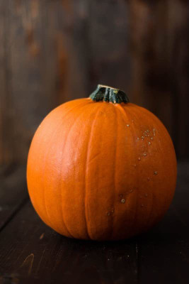 CYBEXIS HUA-48 - Island Pumpkin Premium Hybrid Quality - (100 Seeds) Seed(100 per packet)