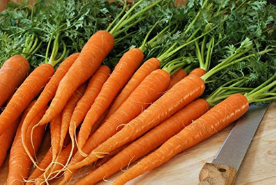 BDSresolve Carrot seeds for home gardening Pack of 53 Seed(53 per packet)