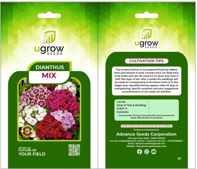 agri max gardens AGRIMAX GARDENS EVERLASTING ELEGANCE DIANTHUS DAZZLING DIANTHUS DUO Seed(40 per packet)