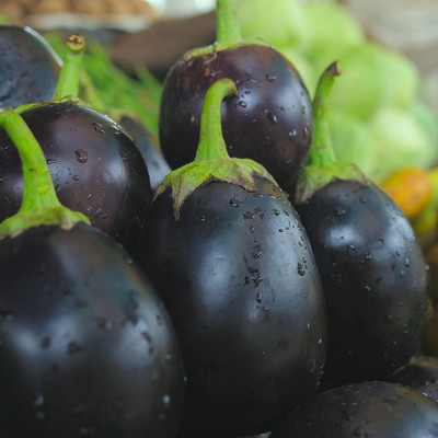LPR brinjal Seed(30 per packet)