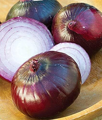 Qualtivate HYB-4A Italian Red Round Onion Seeds Seed(500 per packet)