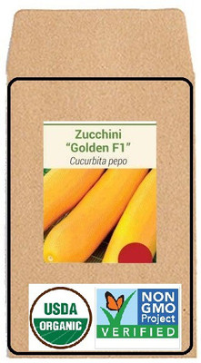 CYBEXIS Hybrid Seeds-Zucchini Golden F1-50 Seeds Seed(50 per packet)