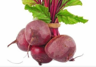 LPR CHUKANDAR,,BEETROOT Seed(100 per packet)