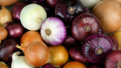 SeedHaven onion fresh Seed(100 per packet)