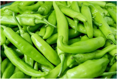 Quentova Big Green Chili हरी मिर्च-4X-VK Seed(200 per packet)