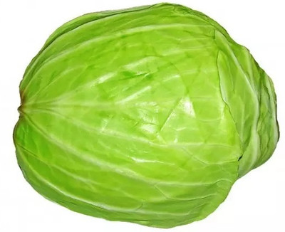 MYLAWN Cabbage round green (बंधा गोभी के बीज) Seed(500 per packet)