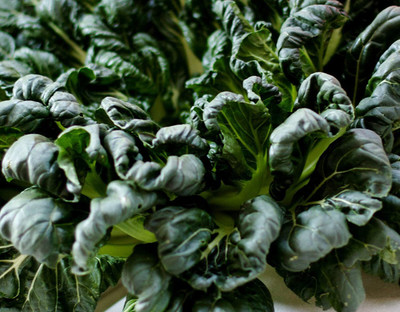 CYBEXIS Seeds of Vegetable Tatsoi Tah Tsai500 Seeds Seed(500 per packet)