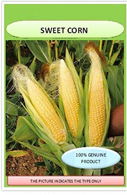 Qualtivate PUA-7A Sweet Corn Organic F1 Hybrid Seeds Seed(400 per packet)