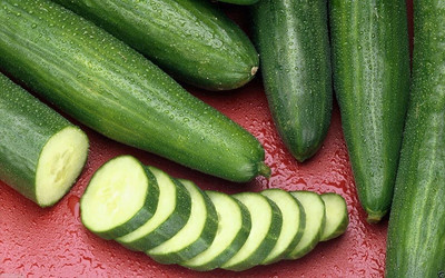 CYBEXIS GUA-49 - Early Spring Cucumber - (1350 Seeds) Seed(1350 per packet)