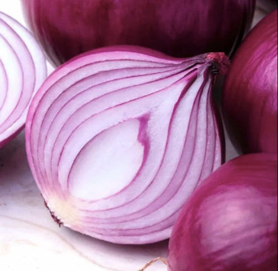 WILLVINE SCI -VI Southport Red Globe Onion Seeds [5g] Seed(3000 per packet)
