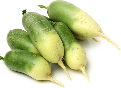 Qualtivate VXL-3AT Radish Green Luobo Improved Seed(300 per packet)