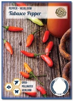 CYBEXIS Tabasco Pepper Heirloom Chilli2400 Seeds Seed(2400 per packet)