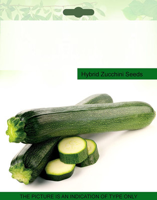 Qualtivate ICRA-2A Squash Vegetable Seeds Seed(30 per packet)