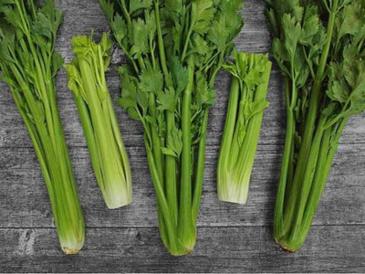 ENTENT Organic Green Celery Vegetable Seed(120 per packet)