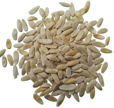 Qualtivate RES-2A Cucumber Kakri - Long Melon Seed(200 per packet)
