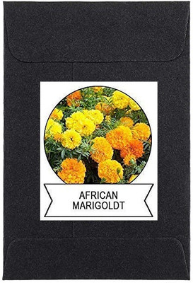 CYBEXIS African Marigold Flower Seeds400 Seeds Seed(400 per packet)