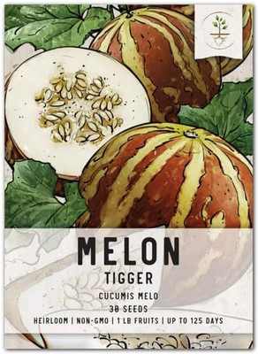 Qualtivate PUAS-282 Tigger Musk Melon Seeds Seed(200 per packet)