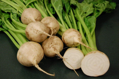 KNESSiN VXI-19 Beetroot Avalanche Seed(500 per packet)
