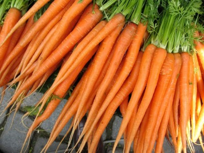 Qualtivate HYB-7A Tendersweet Carrot Seeds Seed(300 per packet)