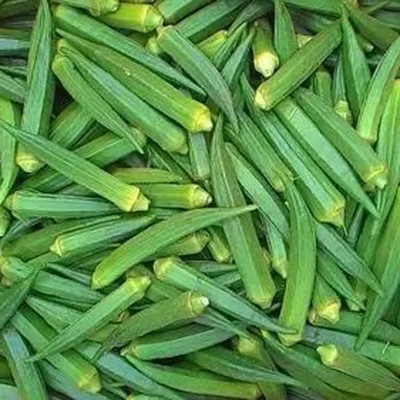 SREE lady finger seeds Seed(35 per packet)