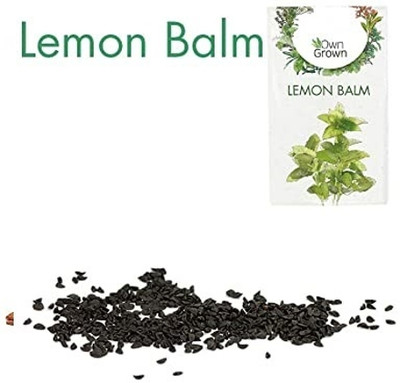 KNESSiN Lemon Balm Seed(50 per packet)