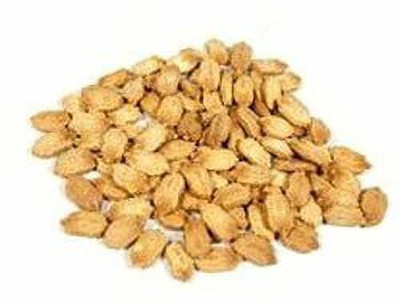 Urancia Bitter Gourd Karela Karale Seeds Momordica Charantia 50 Seeds For Farming Seed(1 per packet)