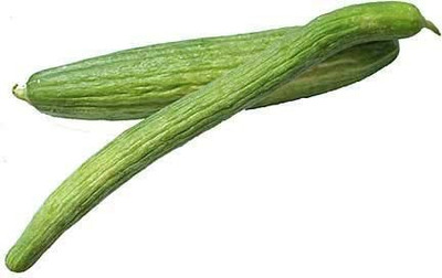VibeX GUA-32 - Armenian Dark Green Cucumber - (1350 Seeds) Seed(1350 per packet)