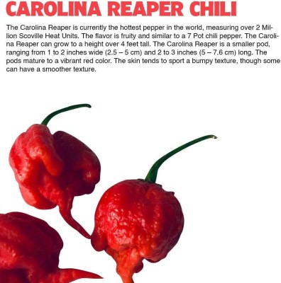 Qualtivate PUAS-2A Premium Carolina Reaper Seed(300 per packet)