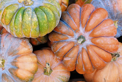 KNESSiN Early-Maturing Fairytale Pumpkin Seeds For Gardening (120 Seeds) Seed(120 per packet)
