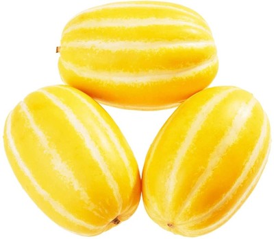 Manomay Muskmelon Fruit Seeds For Home Gardening Planting 20Seeds KK20 Seed(20 per packet)