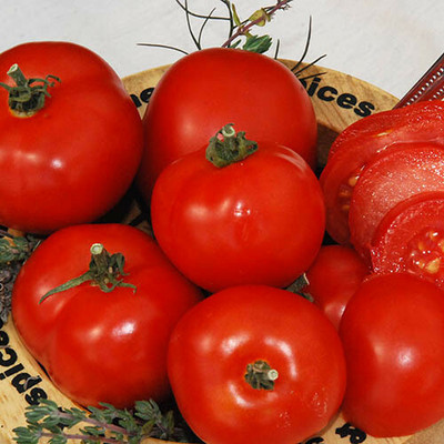 Avysa Tomatoes Red टमाटर Seed(500 per packet)