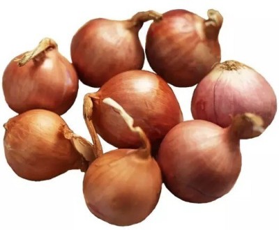 SONIRO Onion Yellow Onion Shallot Seed(70 per packet)