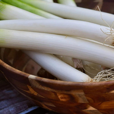 KNESSiN Heirloom Long Green Onion Seeds for Terrace Gardening-(2400 Seeds) Seed(2400 per packet)