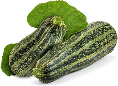 CYBEXIS GBPUT-44 - Cocozelle Zucchini Summer Squash - (75 Seeds) Seed(75 per packet)