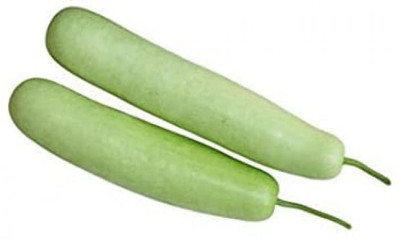 Qualtivate ICRA-1A Hydroponics Long Bottle Gourd लोकि बीज Seed(50 per packet)