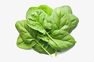 Qualtivate GBPT-6A Baby Spinach for Kitchen Gardening Seed(300 per packet)