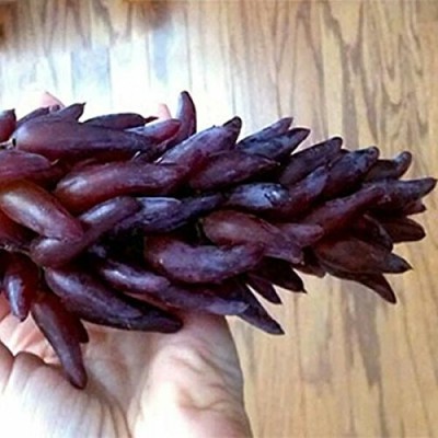 Aywal Black Grapes or Angoor Fruit Seed(25 per packet)