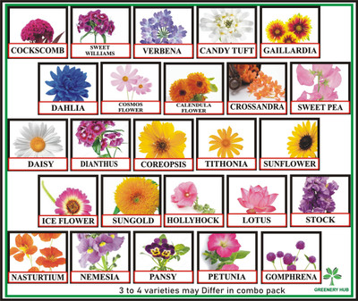 Greenery Hub 25 Varieties Flower Seeds Combo Seed(1250 per packet)