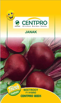 KRASHAK HYBRID BEETROOT (CHUKANDAR) Seed(2 per packet)